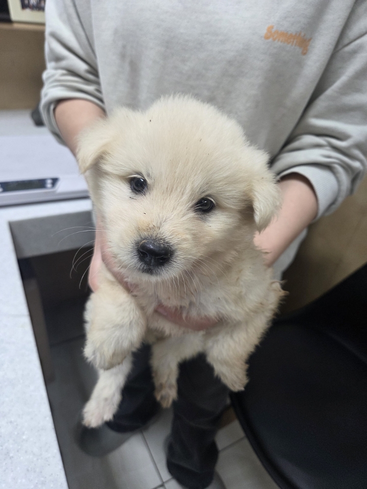 최종주동물병원_443444202500248