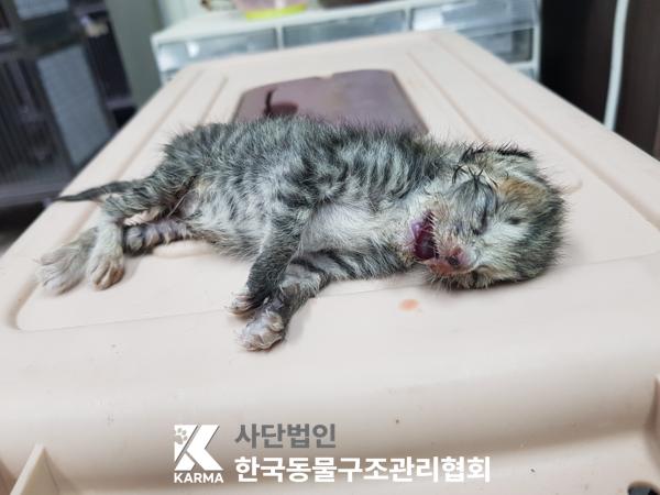 종료(자연사) 한국…