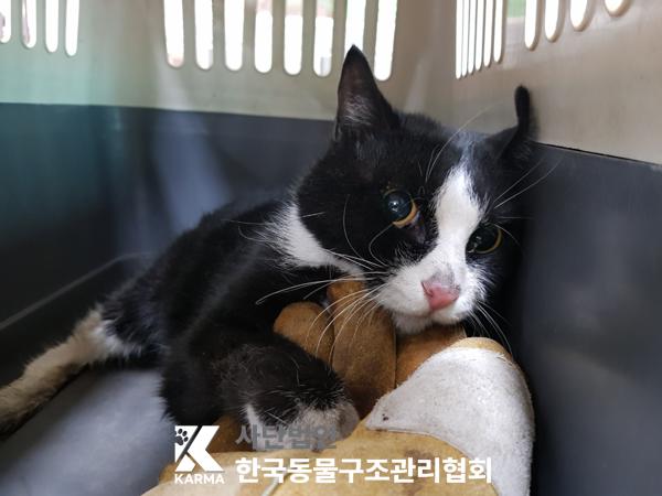 한국동물구조관리협회_411316202500279