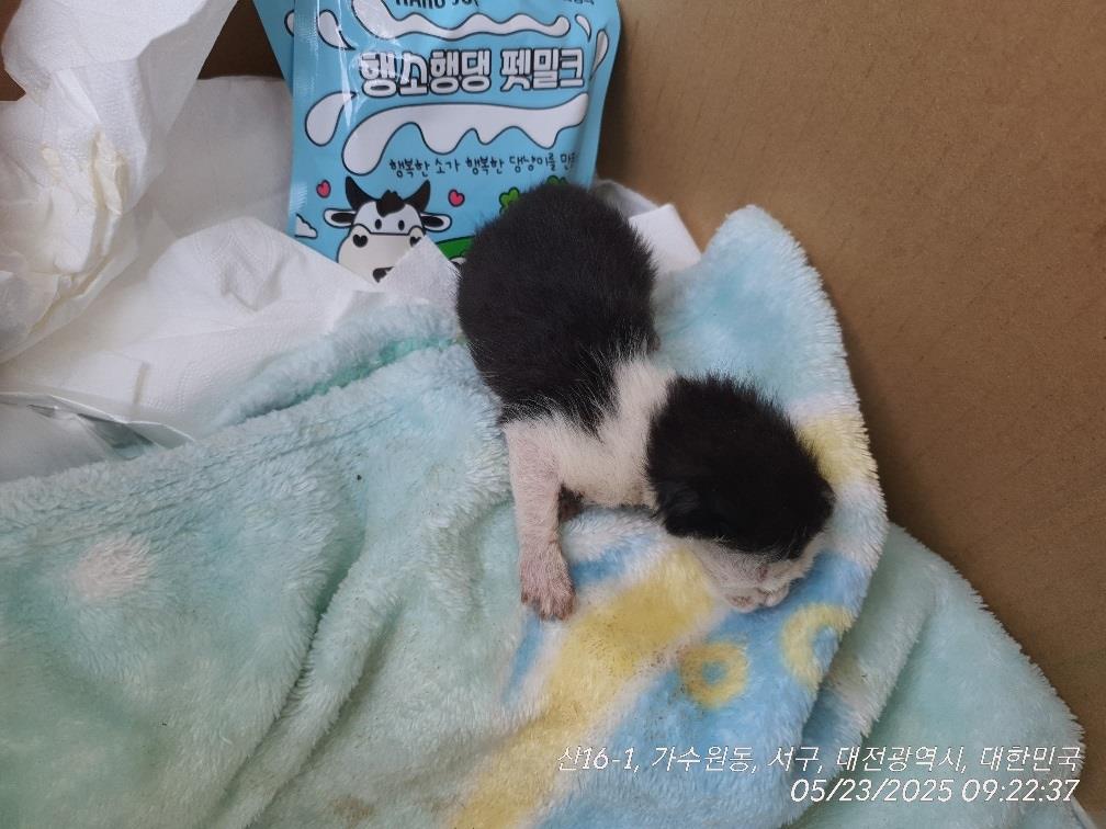 대전동물보호센터_430366202500298