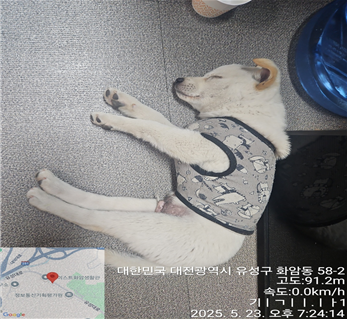 대전동물보호센터_430367202500349