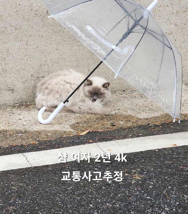 옥천동물병원_443443202500468