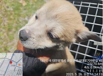 대전동물보호센터_430367202500354