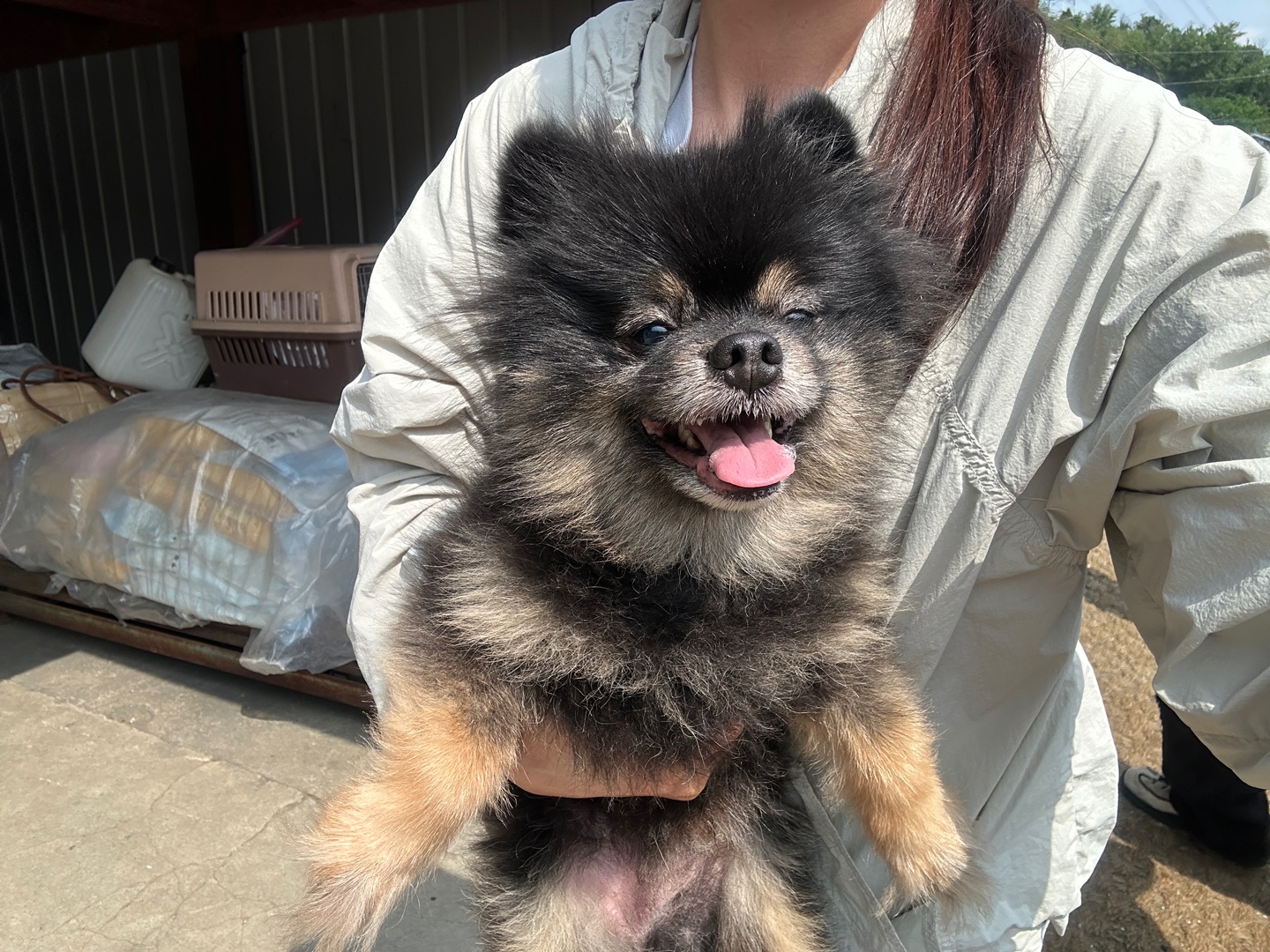 한국야생동물보호협회_441402202500345