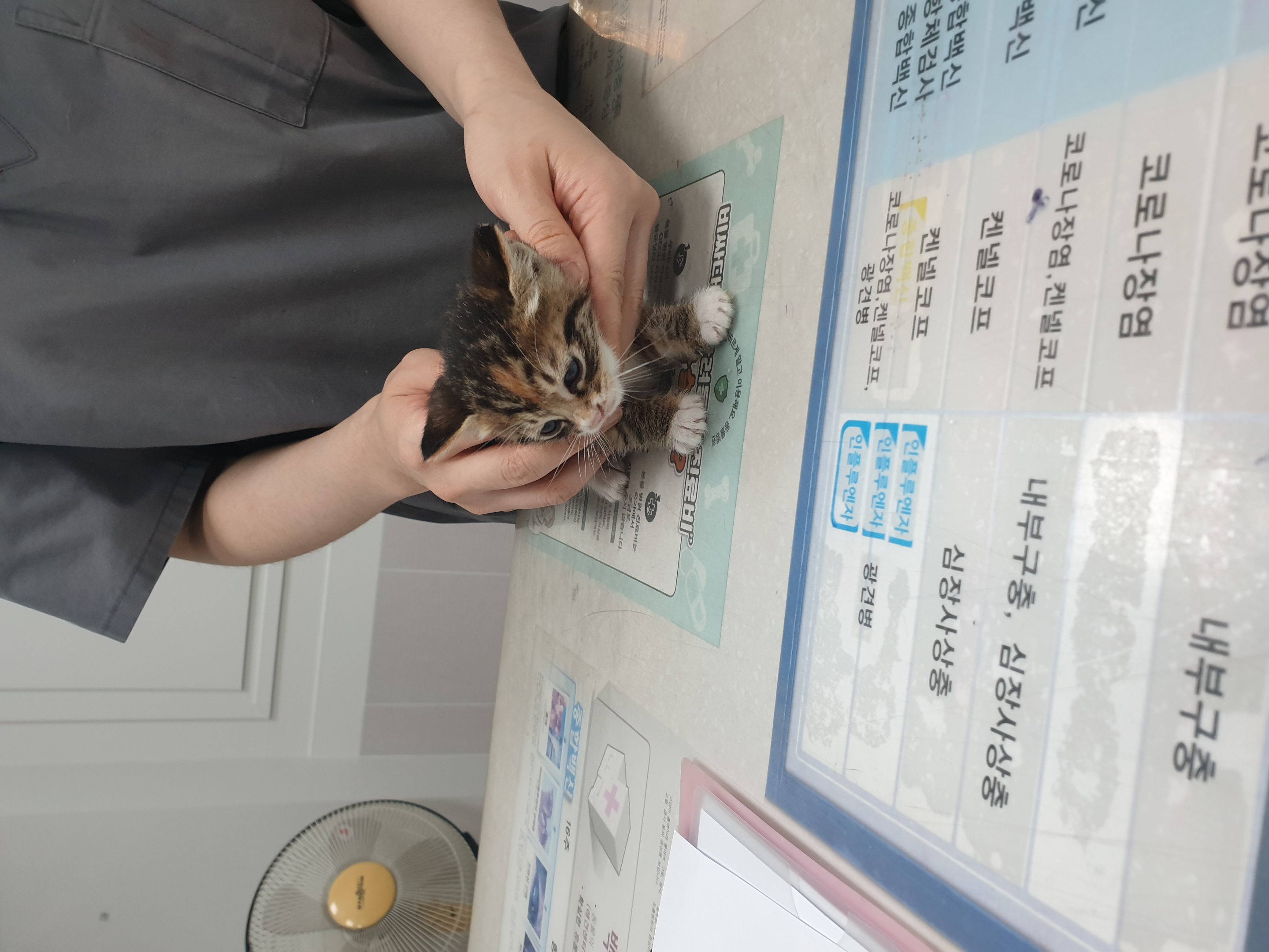 대구시수의사회(평리)_427343202500476