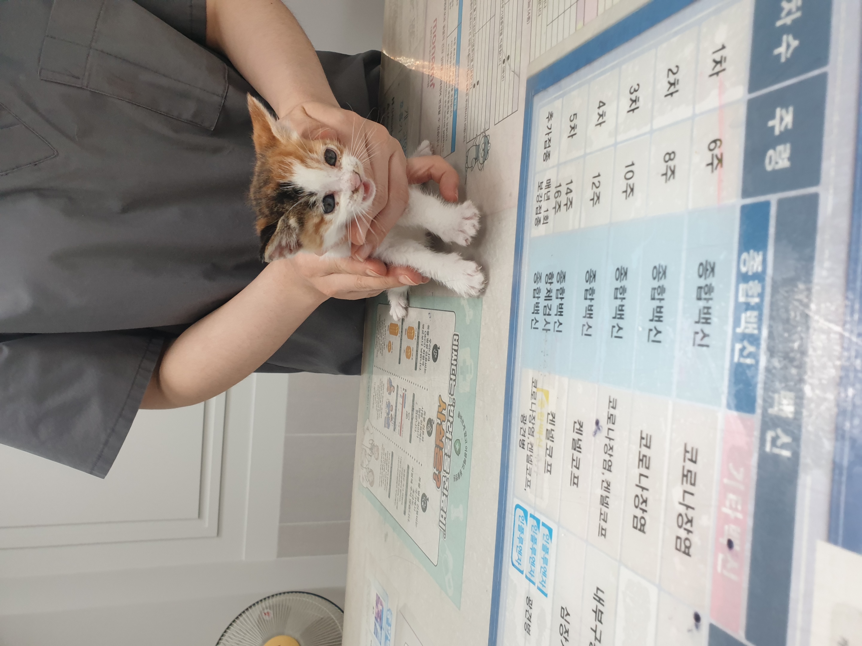 대구시수의사회(평리)_427343202500477