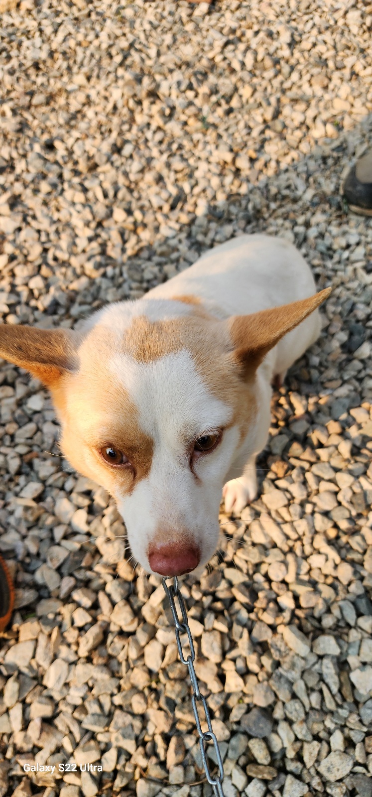 전북말산업복합센터_445471202500223