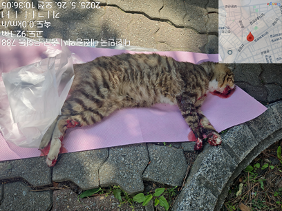 대전동물보호센터_430365202500200