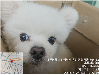대전동물보호센터_430367202500358