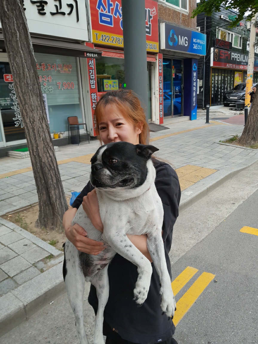인천광역시수의사회_428351202500293