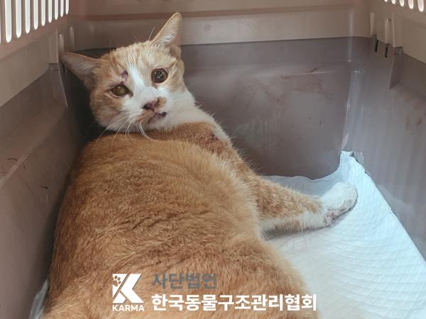 한국동물구조관리협회_411310202500421