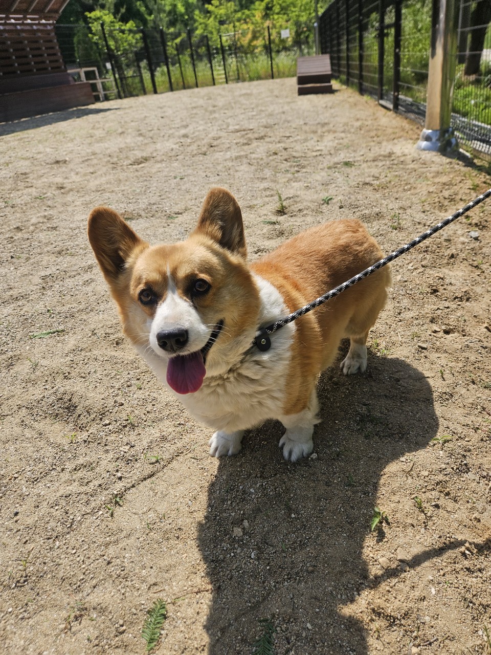 아산동물복지지원센터_444452202501576