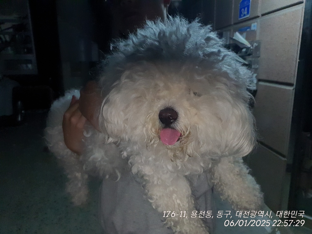 대전동물보호센터_430364202500131
