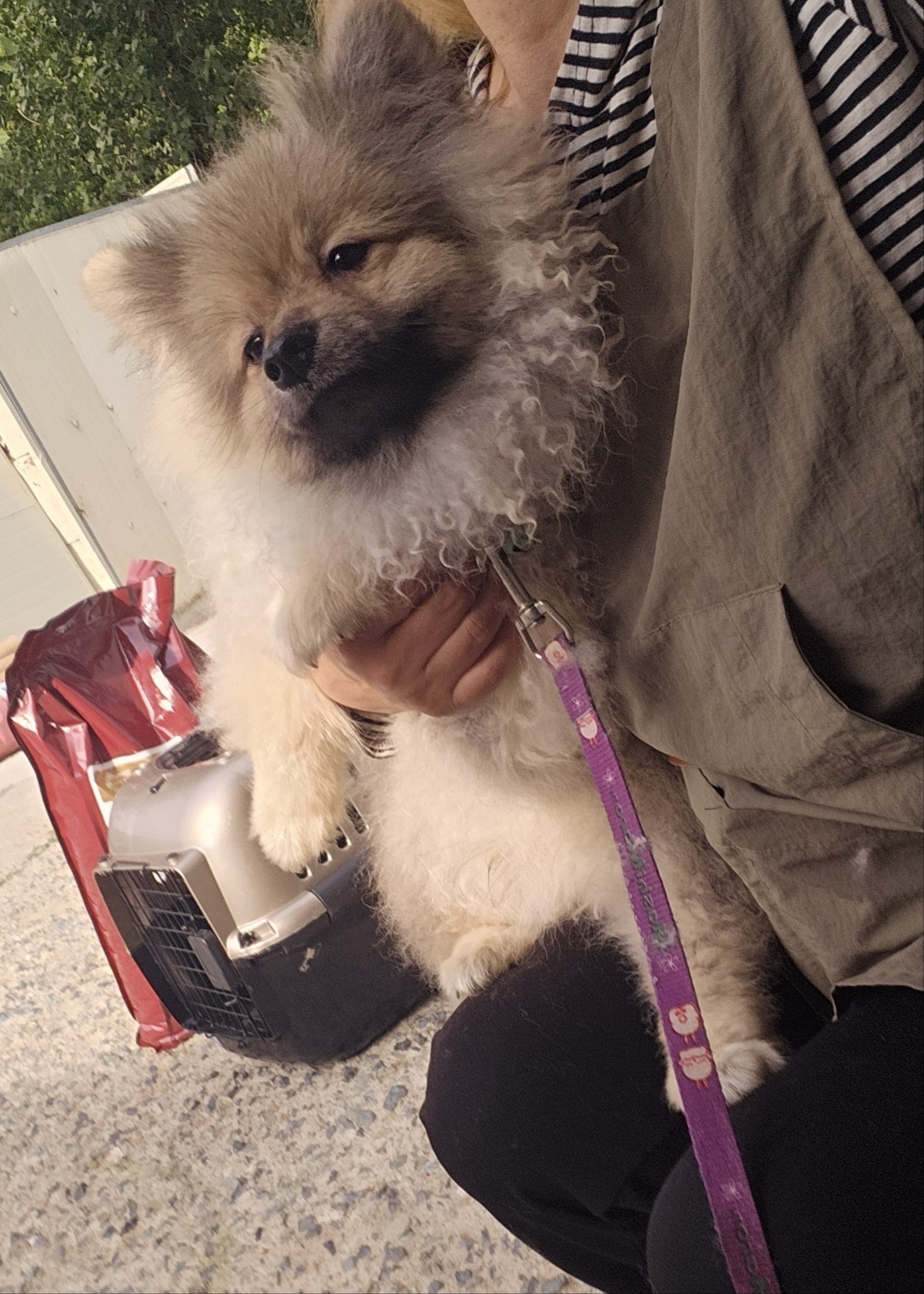 울산유기동물보호센터_431371202500278