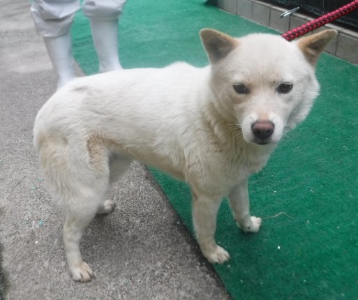 제주 동물보호센터_450650202501430