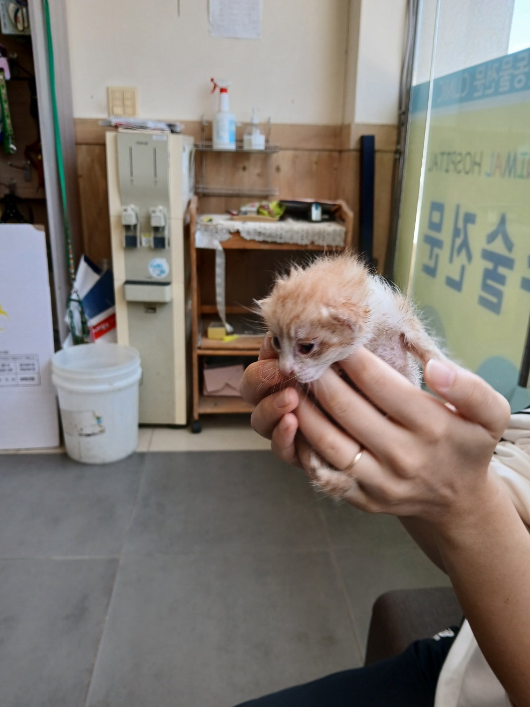 금왕동물병원_443447202500619