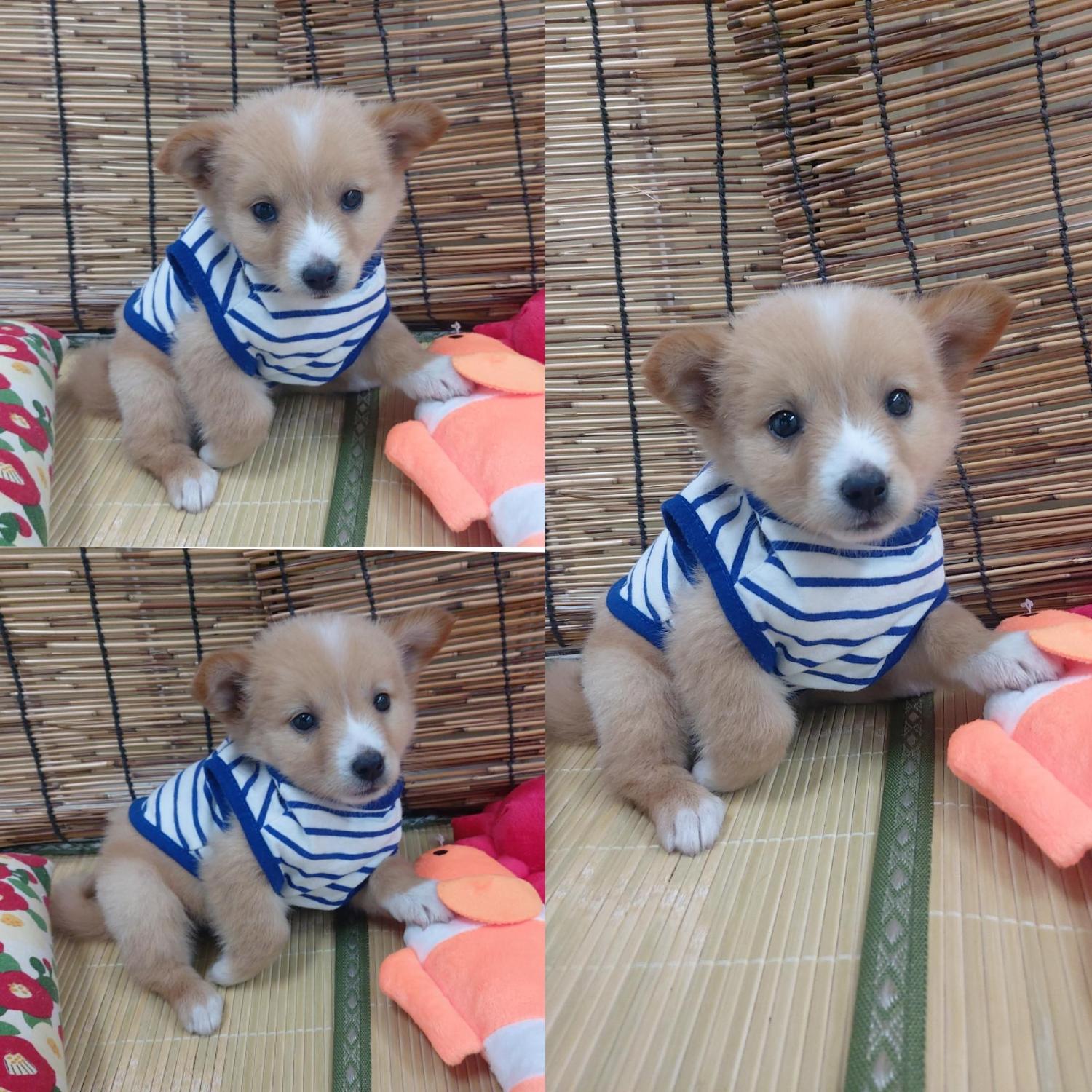 이름없음