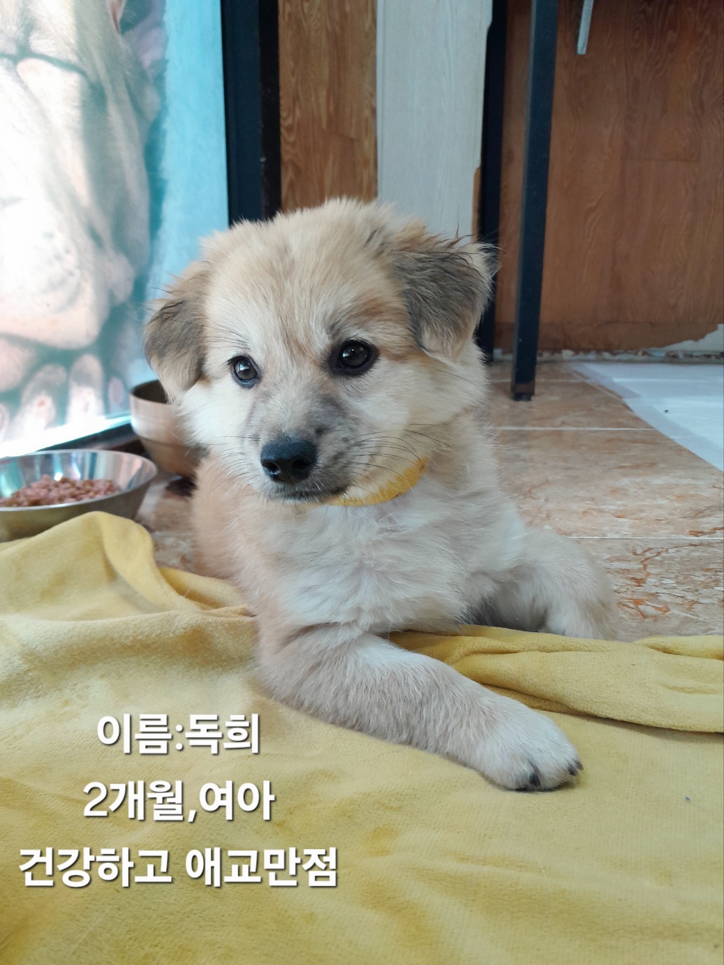 성주유기동물보호센터_447521202500391