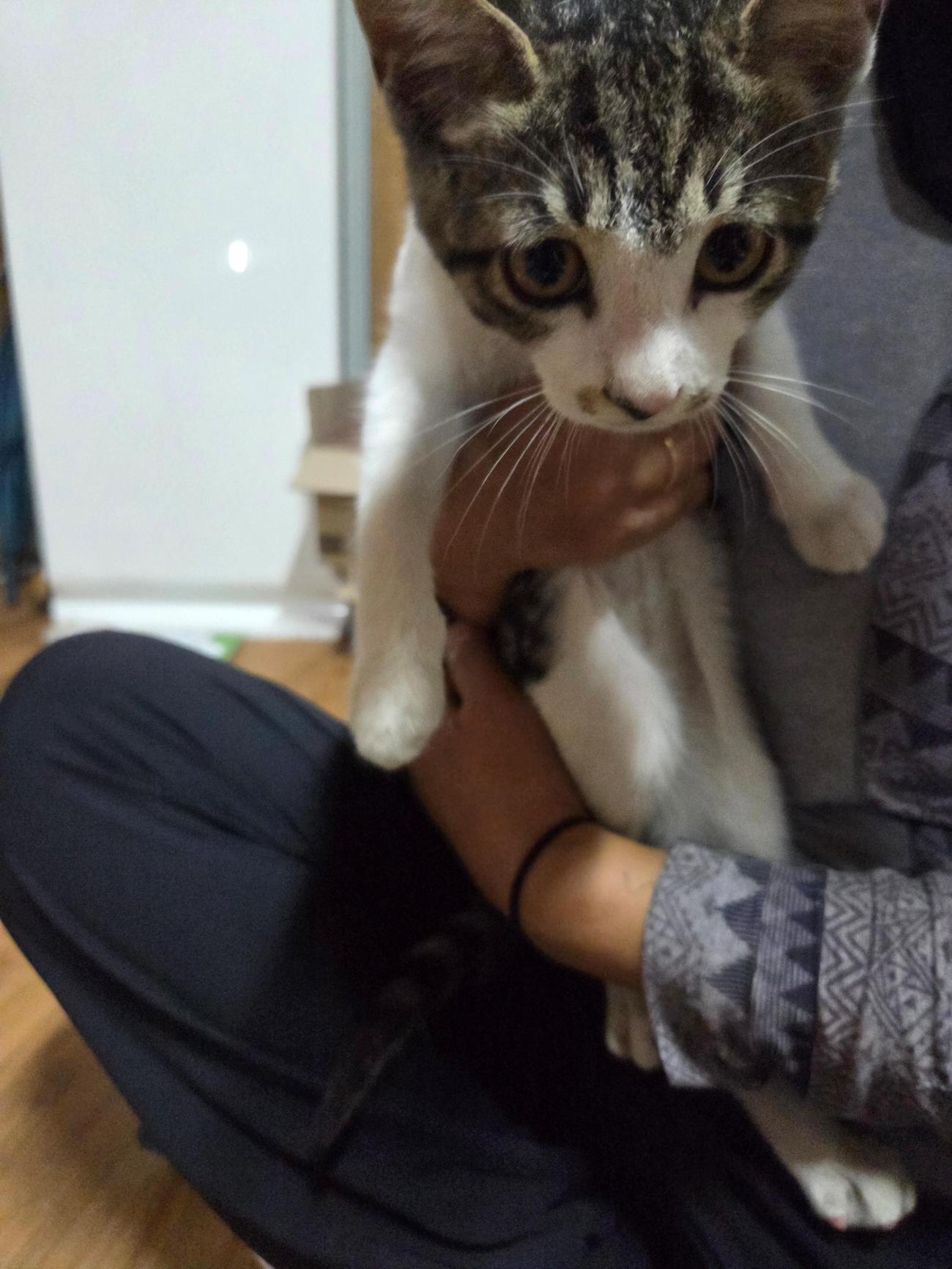 종료(반환) 한국 …
