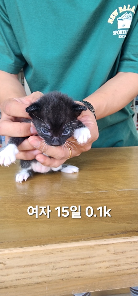 옥천동물병원_443443202500608