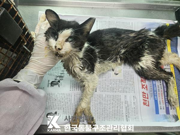 종료(자연사) 한국…