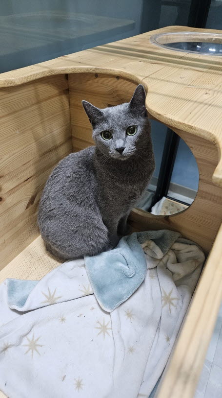 익산유기동물보호소_445468202502483