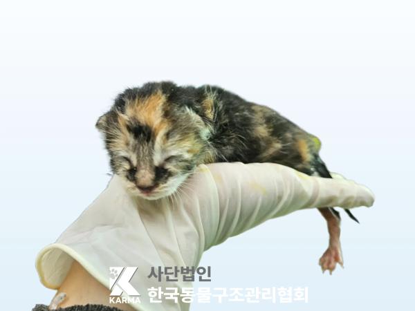 종료(자연사) 한국…