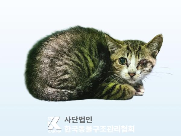 종료(자연사) 한국…