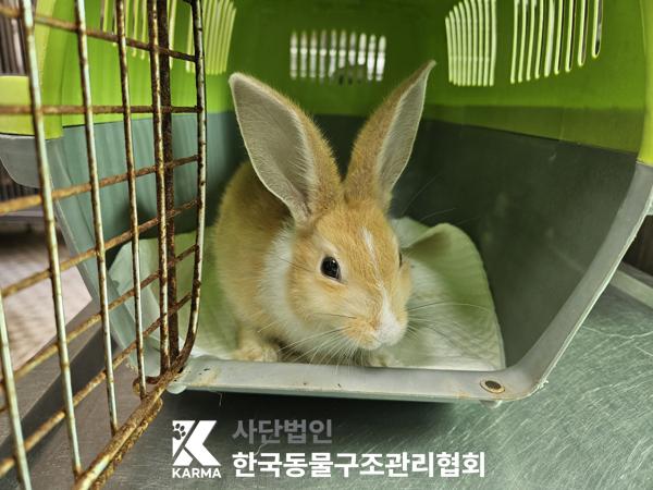 한국동물구조관리협회_411324202500457