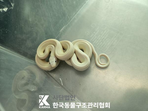 종료(반환) 기타축…