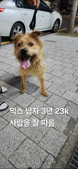 옥천동물병원_443443202500615