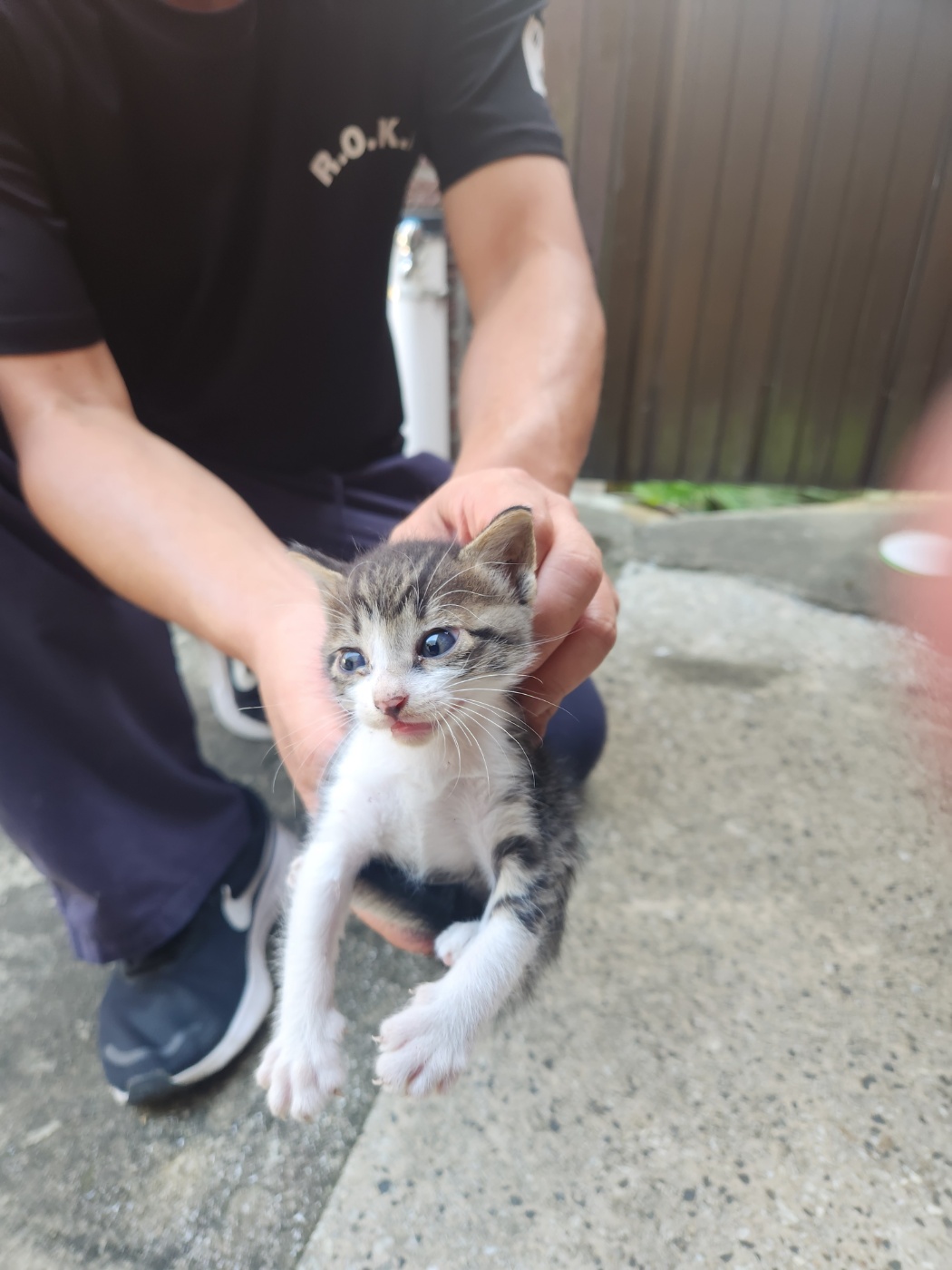 동구종합동물병원_426327202500119