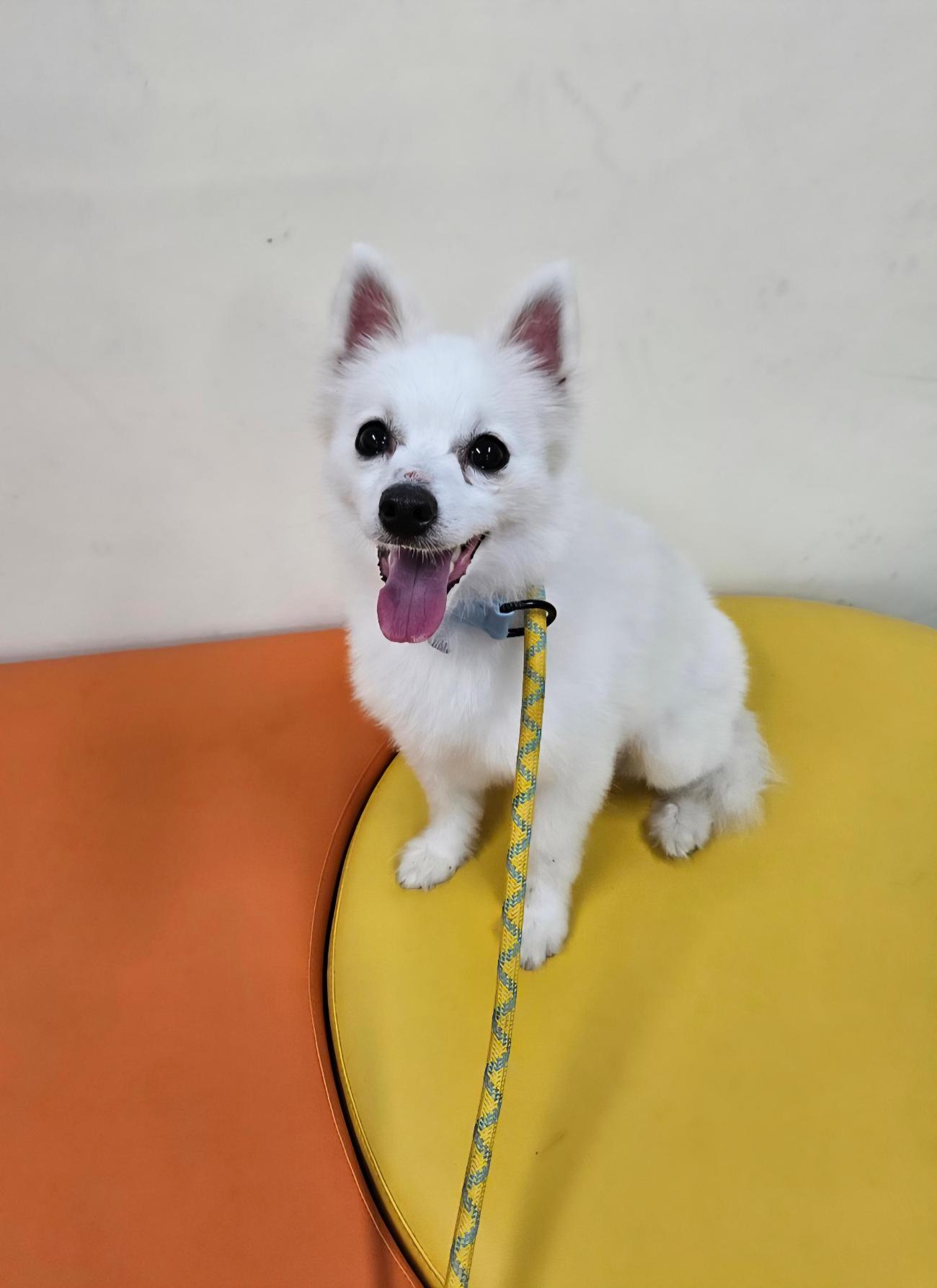 아산동물복지지원센터_444452202501922
