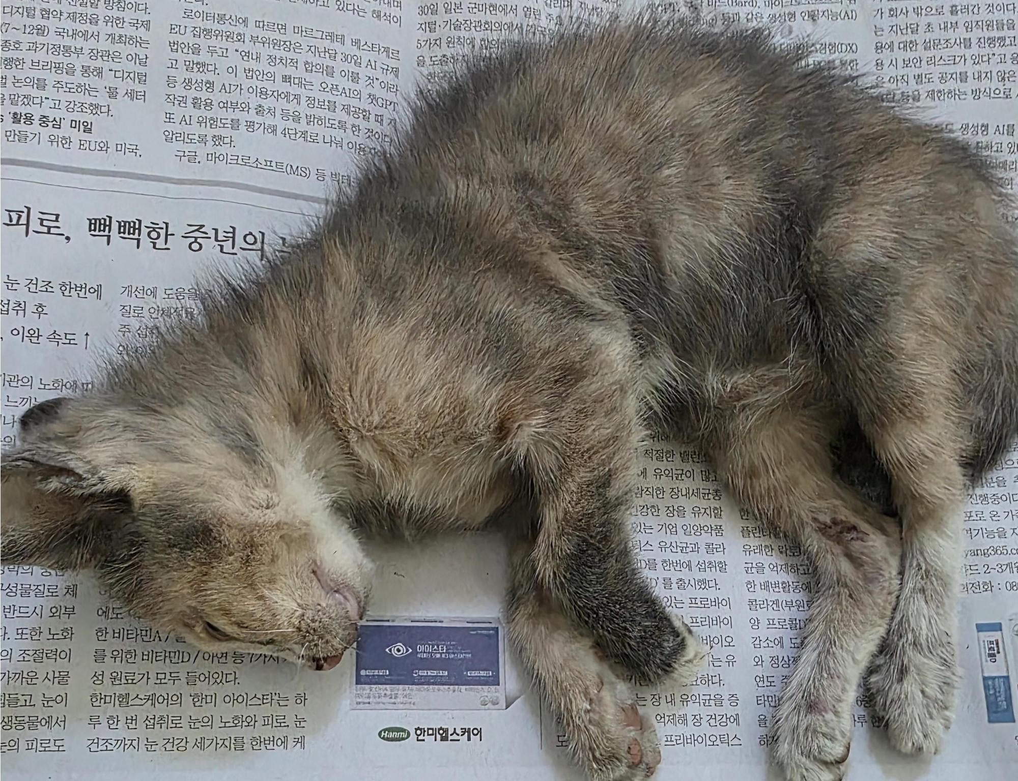 종료(자연사) 한국…