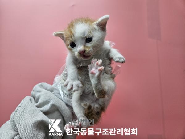 종료(자연사) 한국…