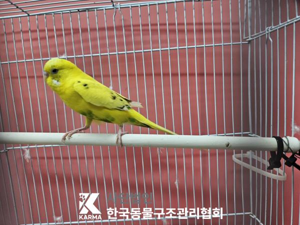 종료(반환) 기타축…