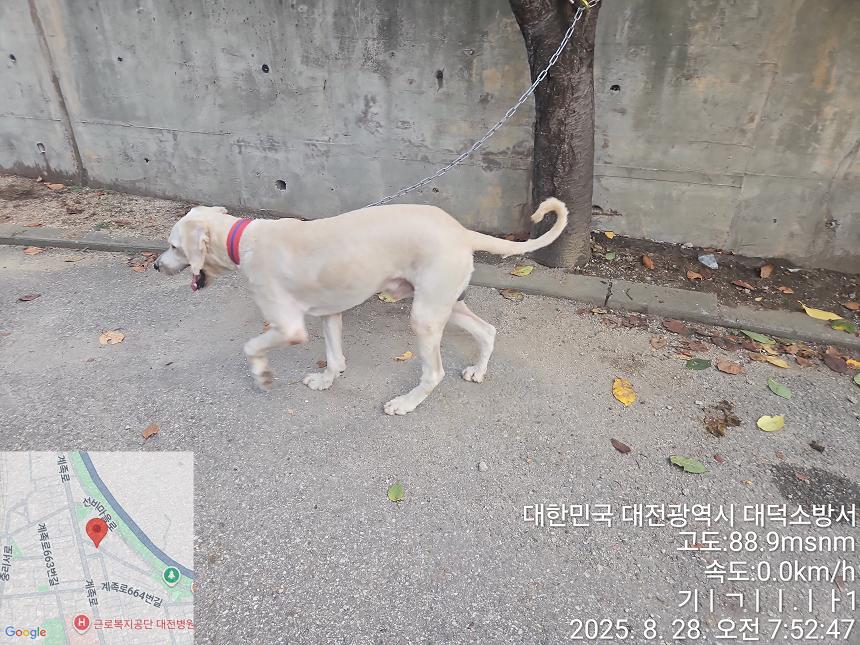 종료(반환) 골든 …