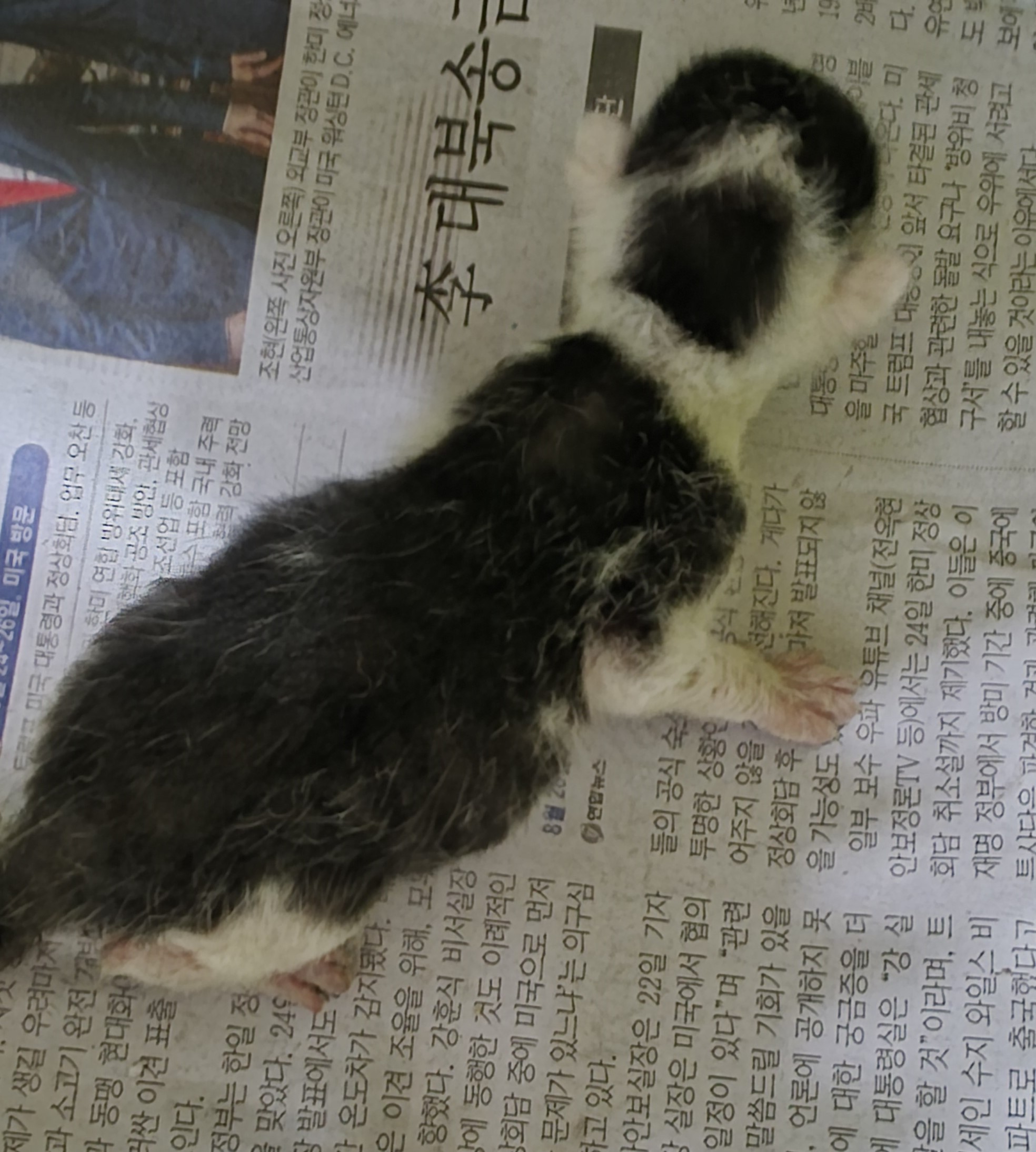 종료(자연사) 한국…