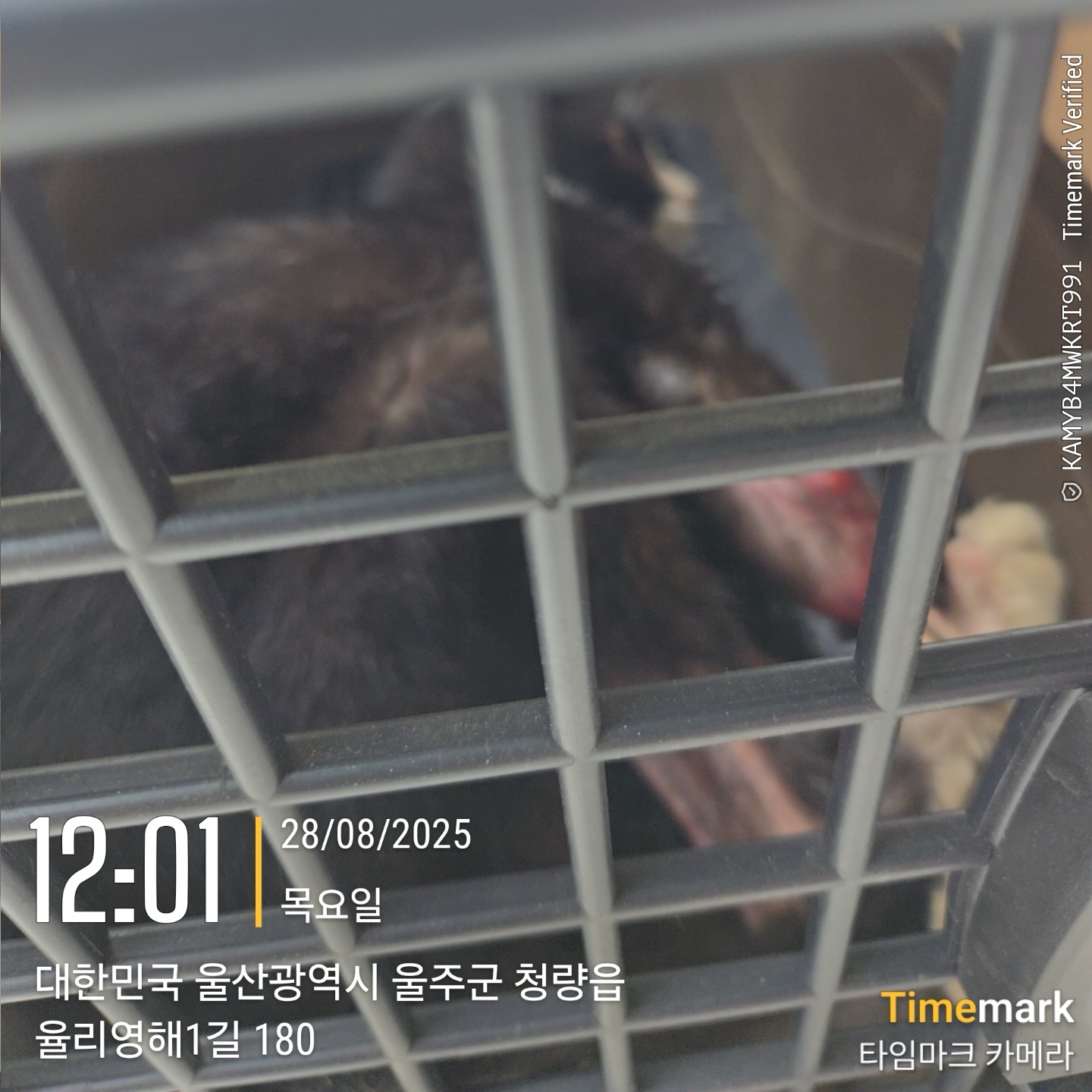 종료(자연사) 한국…