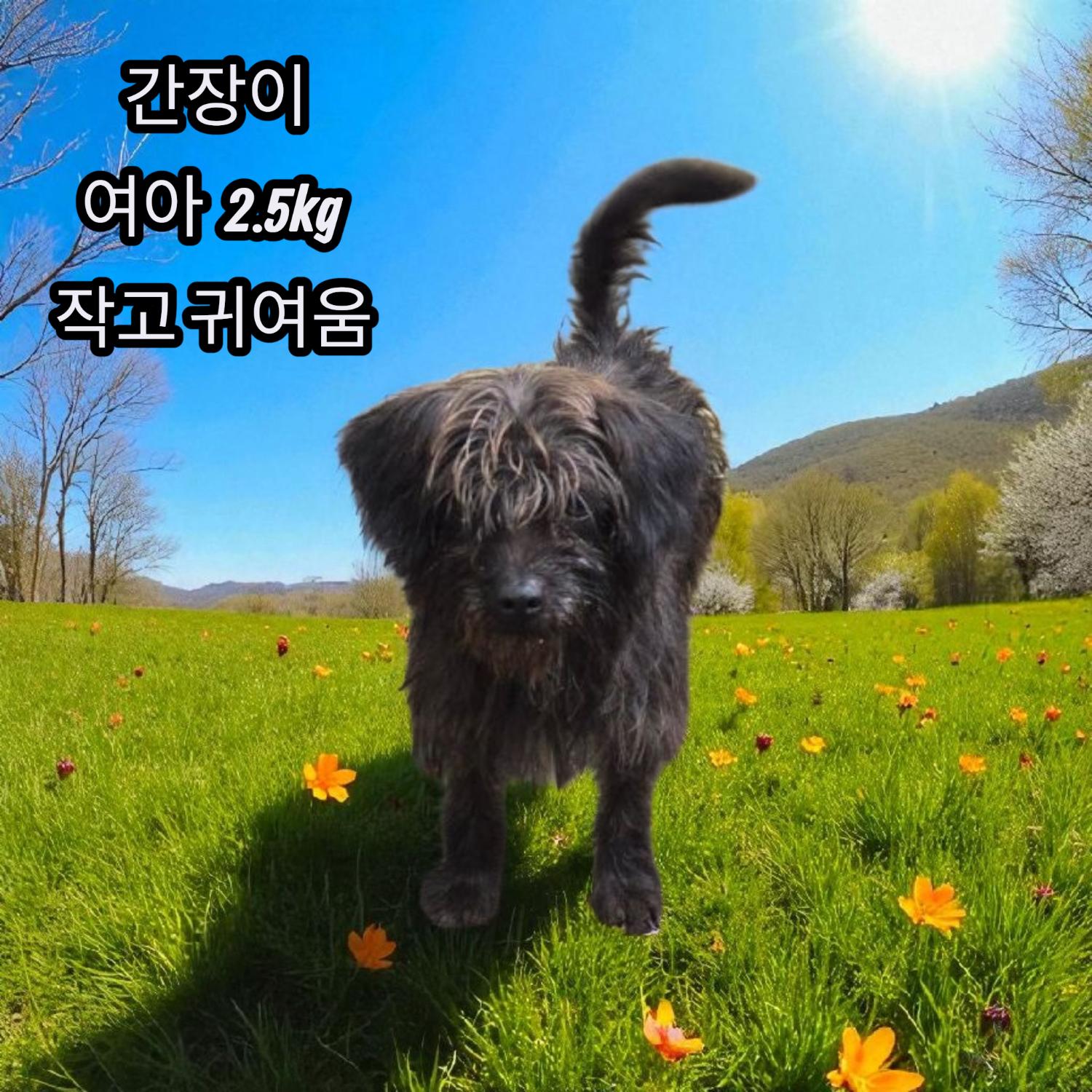 보호중 노리치 테리…