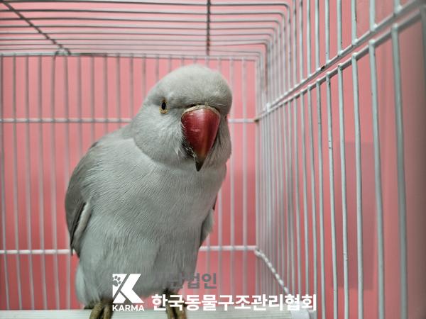 보호중 기타축종의 …