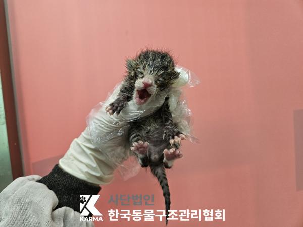 종료(자연사) 한국…