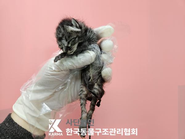 종료(자연사) 한국…