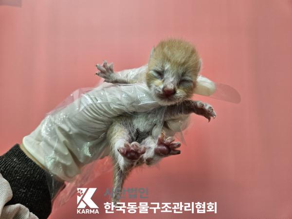 종료(자연사) 한국…