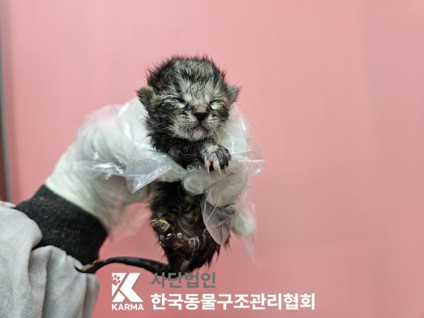 종료(자연사) 한국…