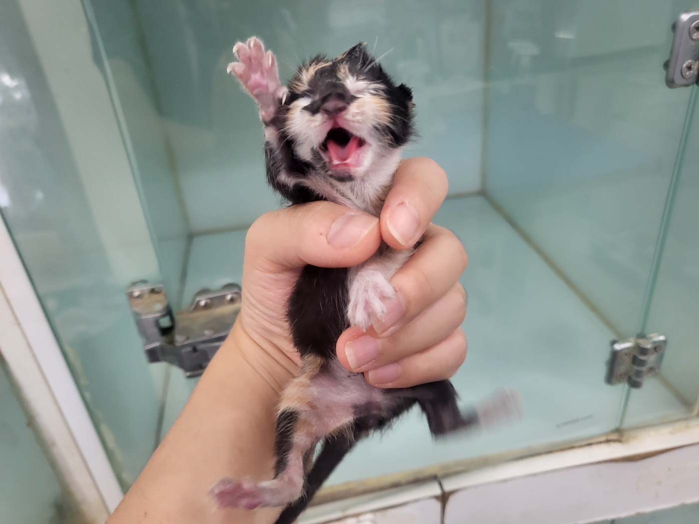 종료(자연사) 한국…