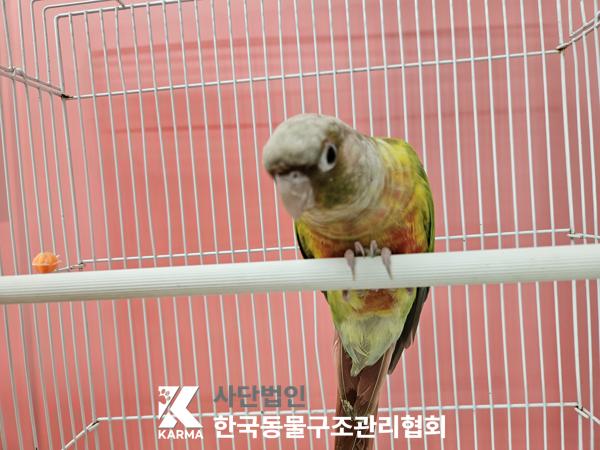 한국동물구조관리협회_411315202500461