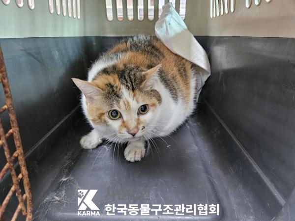 종료(방사) 한국 …