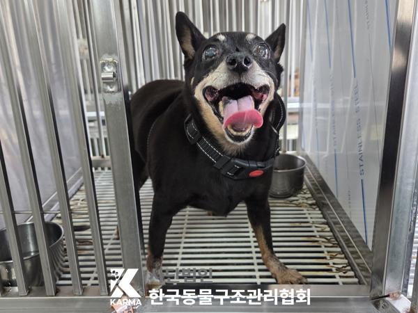 종료(반환) 미니어…