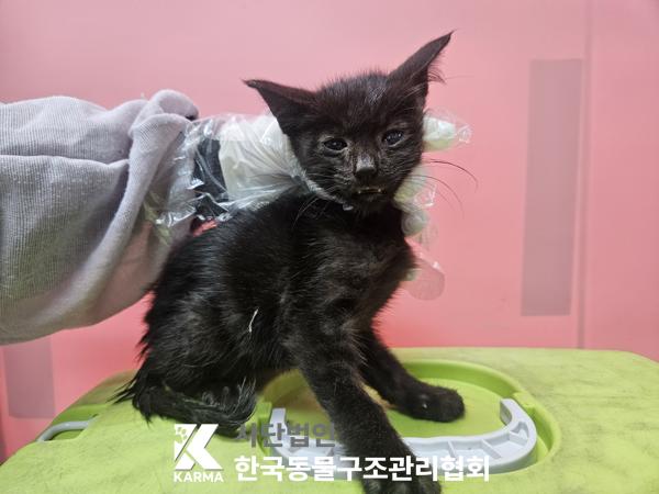종료(자연사) 한국…